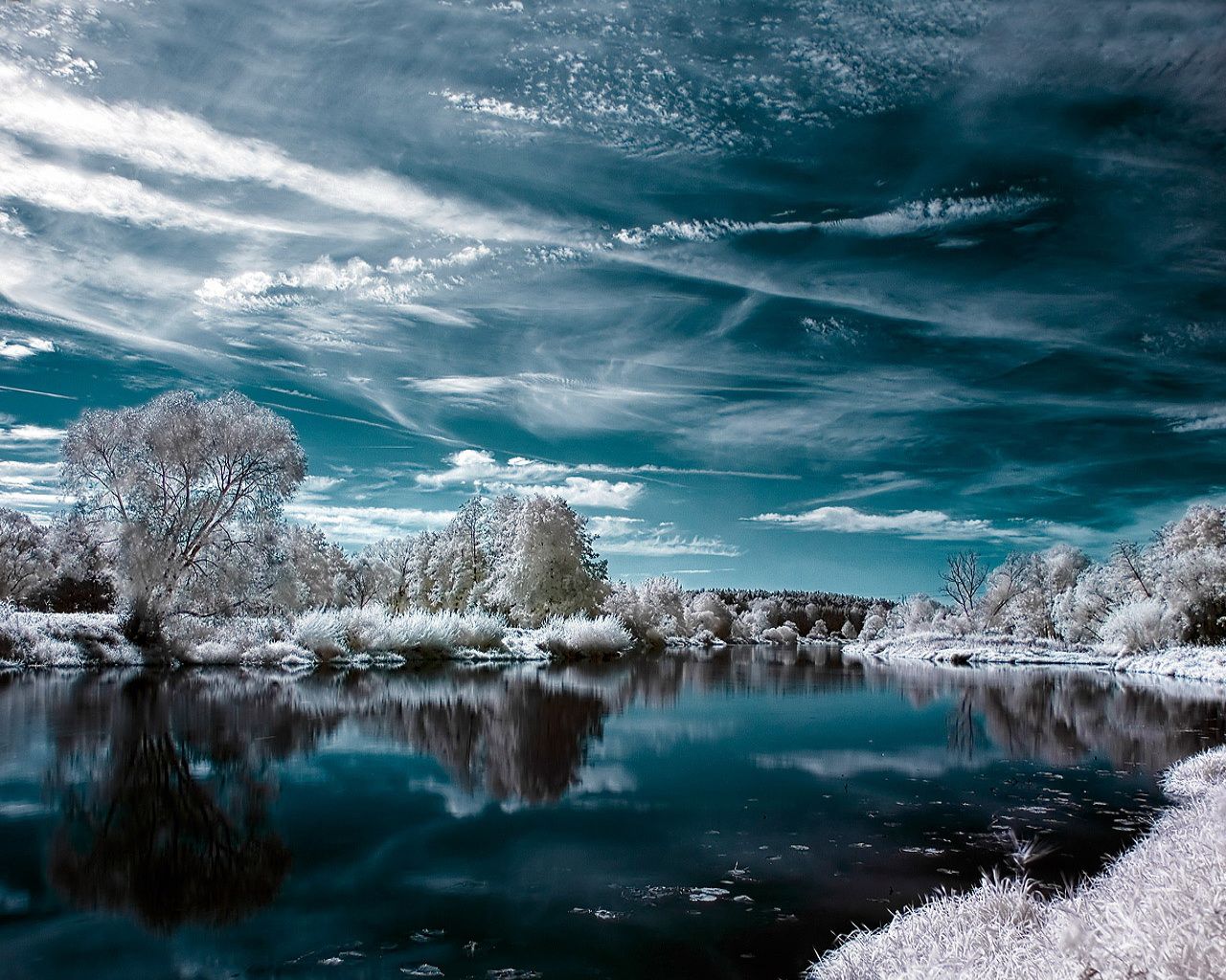 Nature (3).jpg